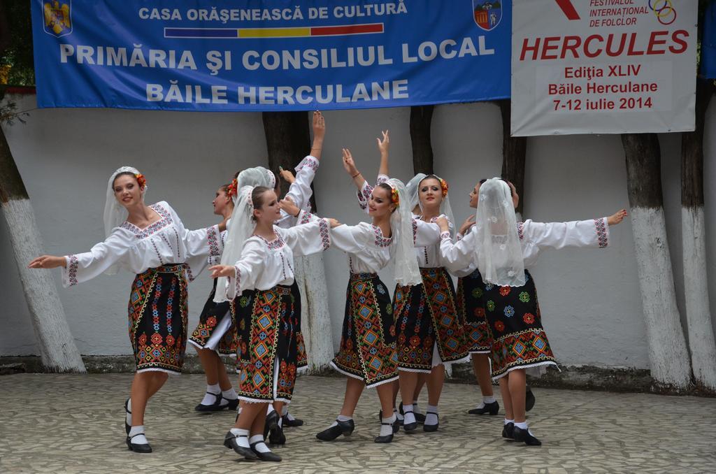ホテル Pensiunea Floare De Colt Băile Herculane エクステリア 写真